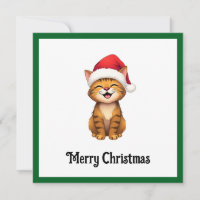 Grappige Schattigee komische grillige kat vrolijk 