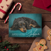 Grappige Schattigee Santa's Little Yelper' Dog Fot Feestdagenkaart
