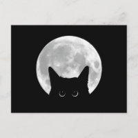 Grappige Schattigee zwarte kat Halloween