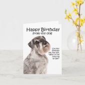 Grappige Schnauzer Verjaardag Kaart (Gele Bloem)