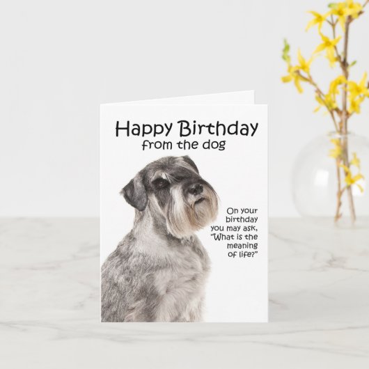 Grappige Schnauzer Verjaardag Kaart (Gele Bloem)