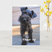 Grappige Schnauzer Verjaardag Kaart (Gele Bloem)