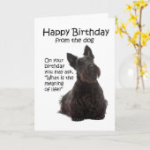 Grappige Scottie Verjaardagskaart Kaart (Gele Bloem)