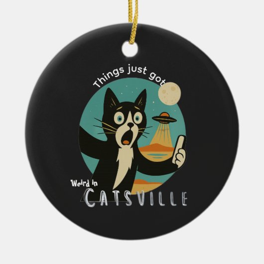 Grappige selfie van kat UFO buitenaards paranormaa Keramisch Ornament (Voorkant)