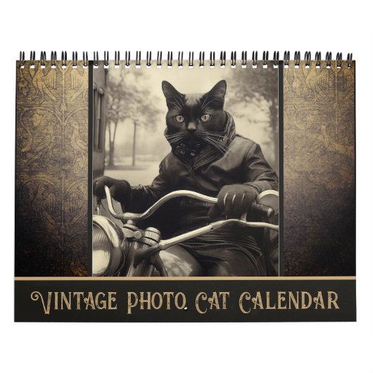 Grappige  Sepia Foto Zwart Kat Kalender (Hoes)