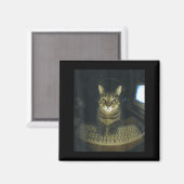 Grappige Serieuze Gamer Kattenliefhebbers Dekkater Magneet (Voorkant / Achterkant)