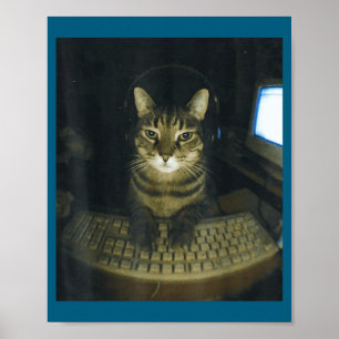 Grappige Serieuze Gamer Kattenliefhebbers Dekkater Poster
