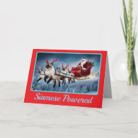 Grappige Siamese Kat Kerstvakantie