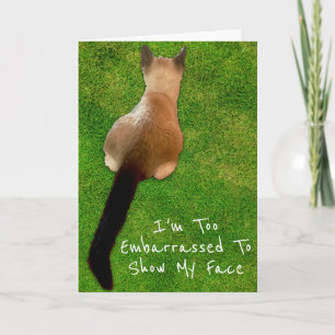 Grappige Siamese Kitten Foto Verjaardag Niet Op Ti Kaart