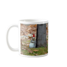 Grappige Sinterklaas Eekhoorn