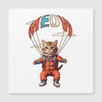 Grappige skydiving kat