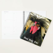 Grappige Slechte Haardag Kip Meme Planner (Display)