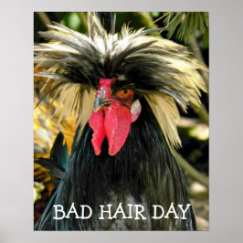 Grappige Slechte Haardag Kip Meme Poster