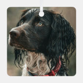 Grappige smerige huisdier foto kerst metalen ornament (Voorkant)