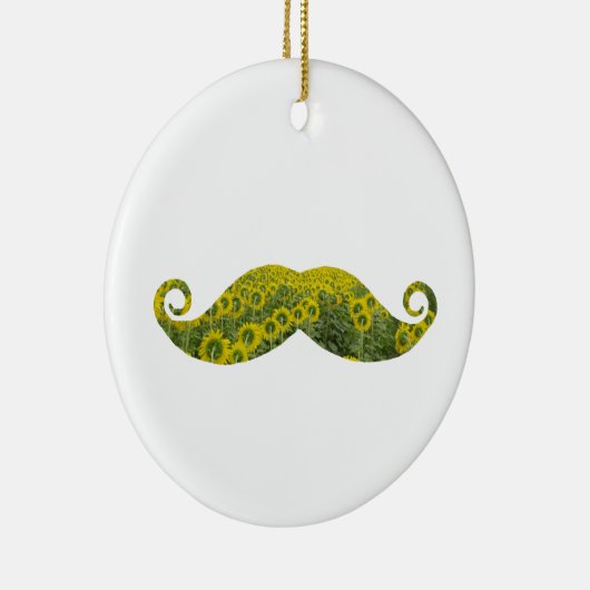 Grappige snor cirkel Ornament (Rechts)