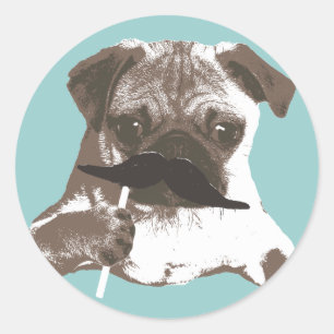 Grappige snor pug ronde sticker