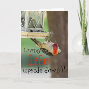Grappige specht fotografie Typografie Life Quote Kaart