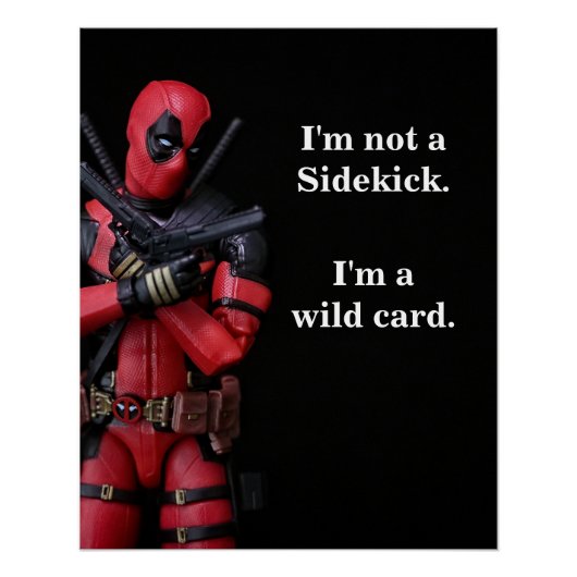 Grappige Speelgoed-fotografie Anti-Hero Perfect Poster (Voorkant)