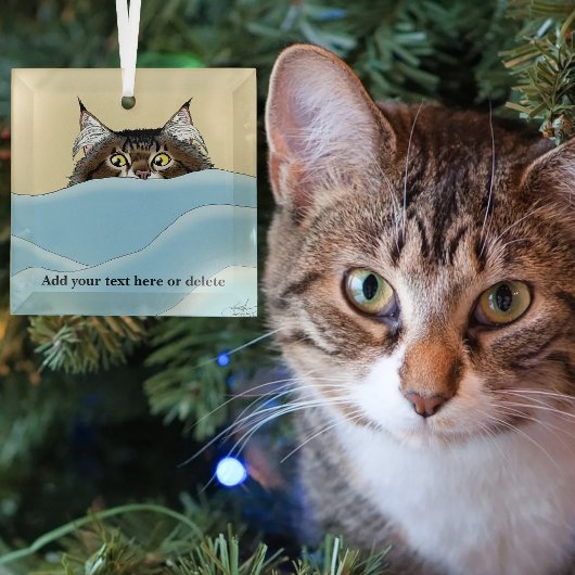 Grappige speelse gele tabby kat ochtend humor glas ornament