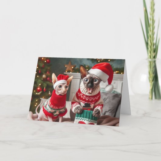 Grappige Sphynx Katten Kerstkaart Bedankkaart (Voorkant)