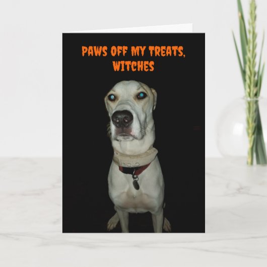 Grappige Spooky Dog Paws Van Mijn Treats Halloween Kaart (Voorkant)