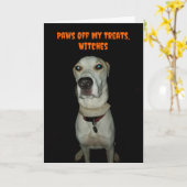 Grappige Spooky Dog Paws Van Mijn Treats Halloween Kaart (Gele Bloem)