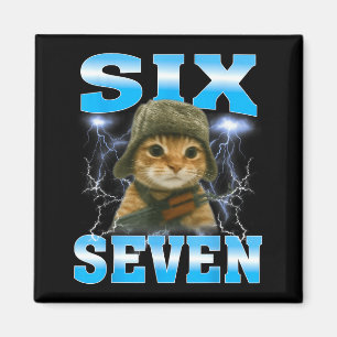 Grappige spreuk 67 katten buikpijn overlevende kat magneet