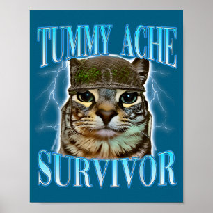 Grappige spreuk Katten Buikpijn Overlevende Kat Me Poster