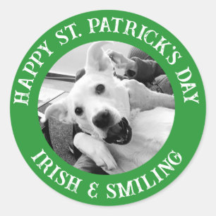 Grappige St. Patrick's Day Ierse en lachende hond Ronde Sticker