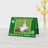 Grappige St. Patrick's Day kaart met Basset & Groe (Gele Bloem)