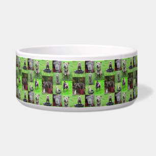 Grappige Staffordshire Bull Terrier Fotocollage, Voerbakje