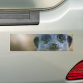 Grappige stokstaartje bumpersticker (Op auto)