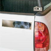 Grappige stokstaartje bumpersticker (Op Truck)
