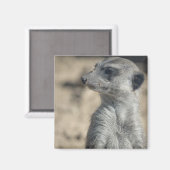 Grappige stokstaartje magneet (Voorkant / Achterkant)