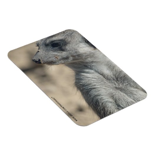 Grappige stokstaartje magneet (Rechterzijde)