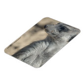 Grappige stokstaartje magneet (Linkerzijde)