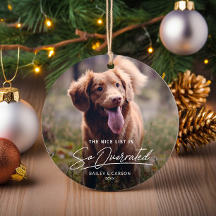 Grappige Stoute De Lijst met Aardige Huisdier Foto Keramisch Ornament