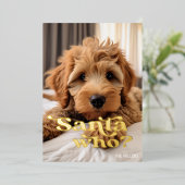 Grappige Stoute Lieve Hond Huisdier Minimalistisch Folie Feestdagenkaart (Staand Voorkant)