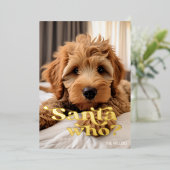 Grappige Stoute Nette Hond Huisdier Minimalistisch Folie Feestdagenkaart (Staand Voorkant)