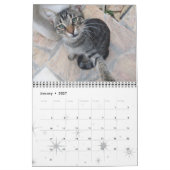GRAPPIGE STRIPS VAN RARE PRATENDE KATTEN 2015 KALENDER (Jan 2027)