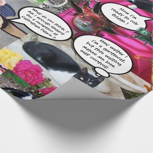 GRAPPIGE STRIPS VAN VREEMDE PRATENDE KATTEN 2 CADEAUPAPIER (Hoek)