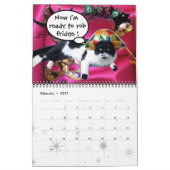 GRAPPIGE STRIPS VAN WEIRD TALKING CATS 2016 KALENDER (Feb 2027)