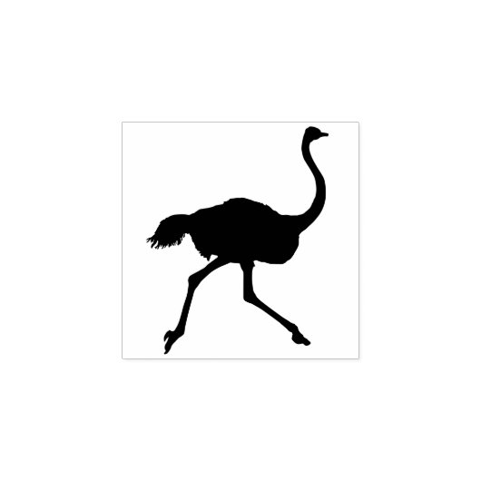 Grappige Struisvogel Mooie Vogel Dier Persoonlijk  Rubberstempel (Afrduk)