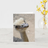 Grappige struisvogel notecard kaart (Gele Bloem)