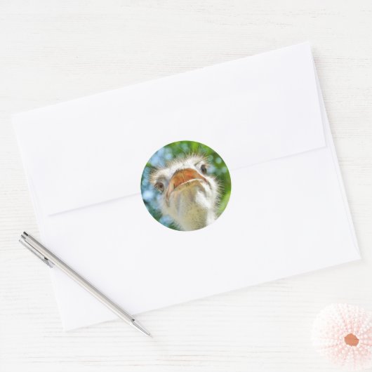 Grappige struisvogel - Sticker (Envelop)