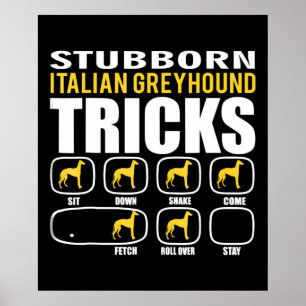 grappige , stubborn italiaanse windtrucs poster