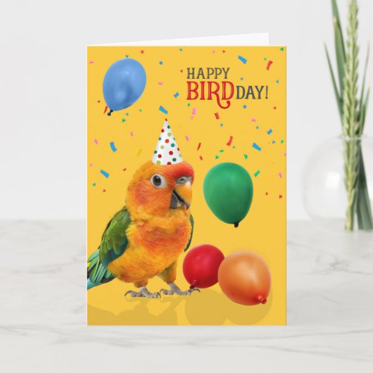 Grappige Sun Conure Papegaai Verjaardag Kaart (Voorkant)