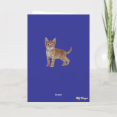 Grappige Tabby Boom Reddingskaart Kaart (Achterkant)