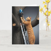 Grappige Tabby Boom Reddingskaart Kaart (Gele Bloem)