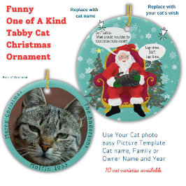 Grappige Tabby Cat bezoekt de Kerstman met hilaris Keramisch Ornament